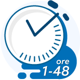 Timp eliberare cod EORI de 1-48h
