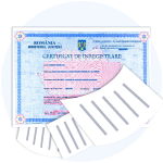 Pot obtine cod EORI daca societatea
                                        mea nu este platitoare de TVA?